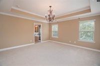 3137 Driftwood Point, Gilbert, SC 29054