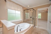 3137 Driftwood Point, Gilbert, SC 29054