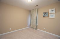 3137 Driftwood Point, Gilbert, SC 29054