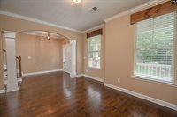 3137 Driftwood Point, Gilbert, SC 29054