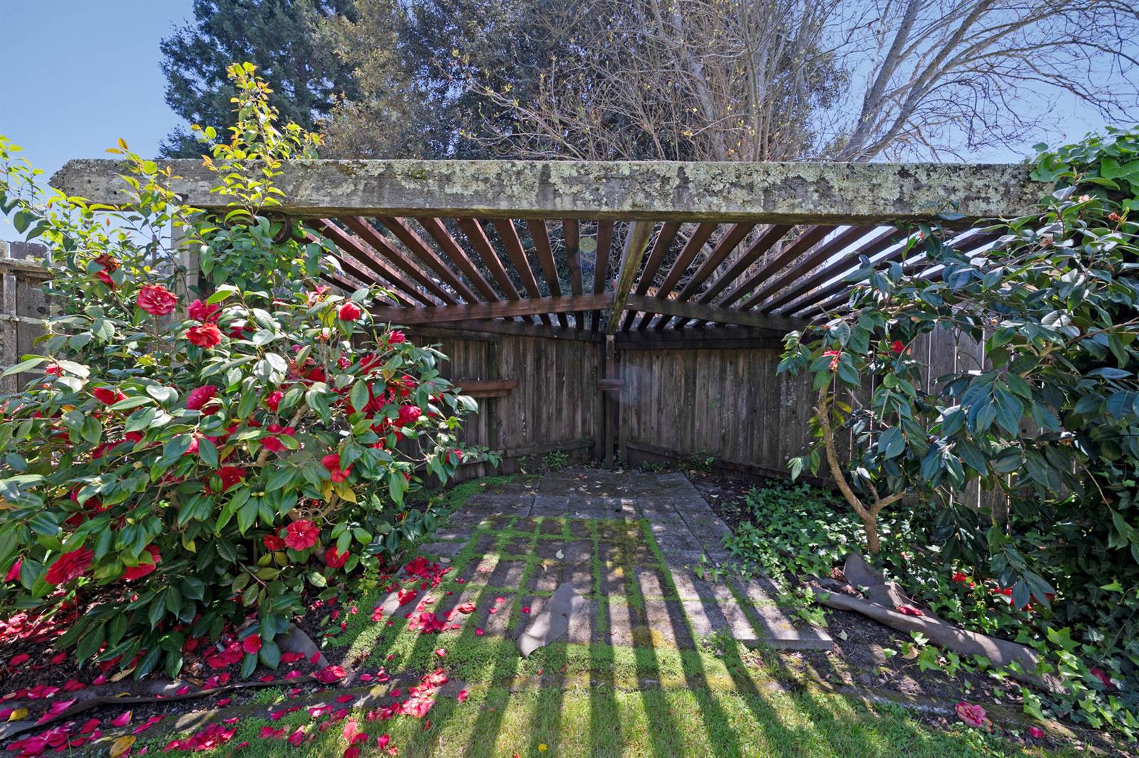 2432 Compadre Drive, Santa Rosa, CA 95405