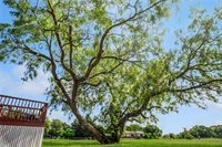 5511 Mesquite Meadow Lane, Bryan, TX 77808