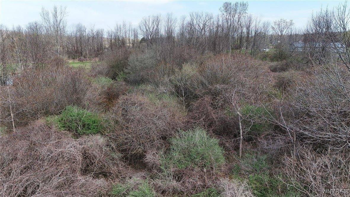 00 Rowland Road, Conesus, NY 14435