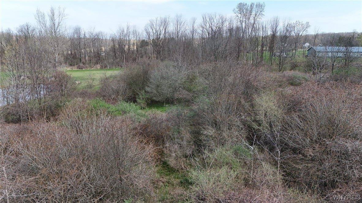 00 Rowland Road, Conesus, NY 14435