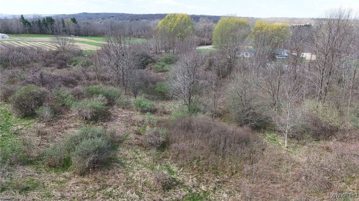 00 Rowland Road, Conesus, NY 14435