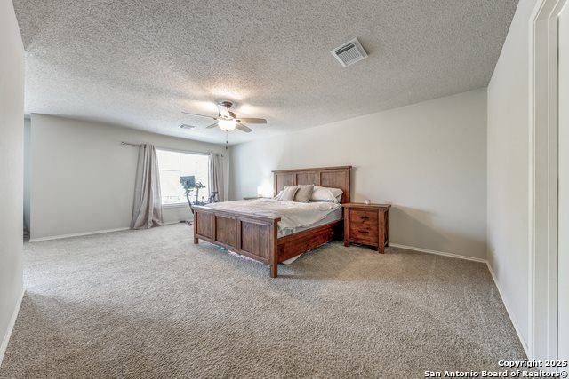 2303 Gold Holly, San Antonio, TX 78259