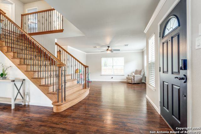 2303 Gold Holly, San Antonio, TX 78259