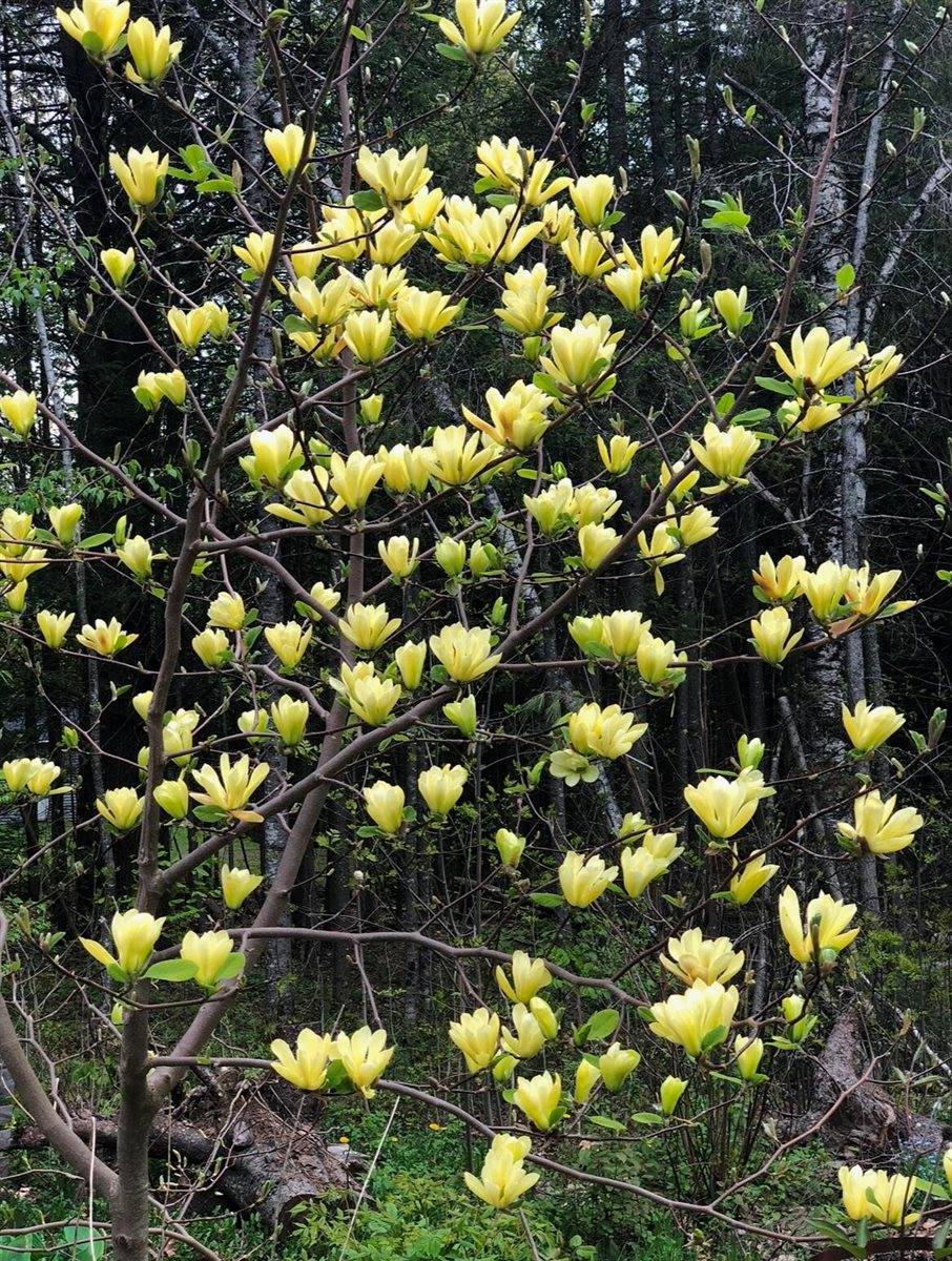 41 Leavitt Lane, Glenburn, ME 04401