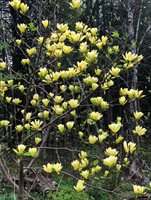 41 Leavitt Lane, Glenburn, ME 04401