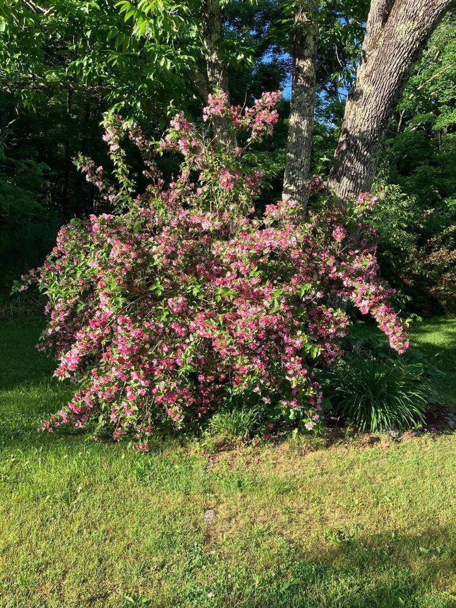 135 Williams Road, Newport, ME 04953