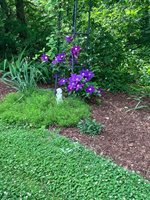 135 Williams Road, Newport, ME 04953