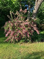 135 Williams Road, Newport, ME 04953