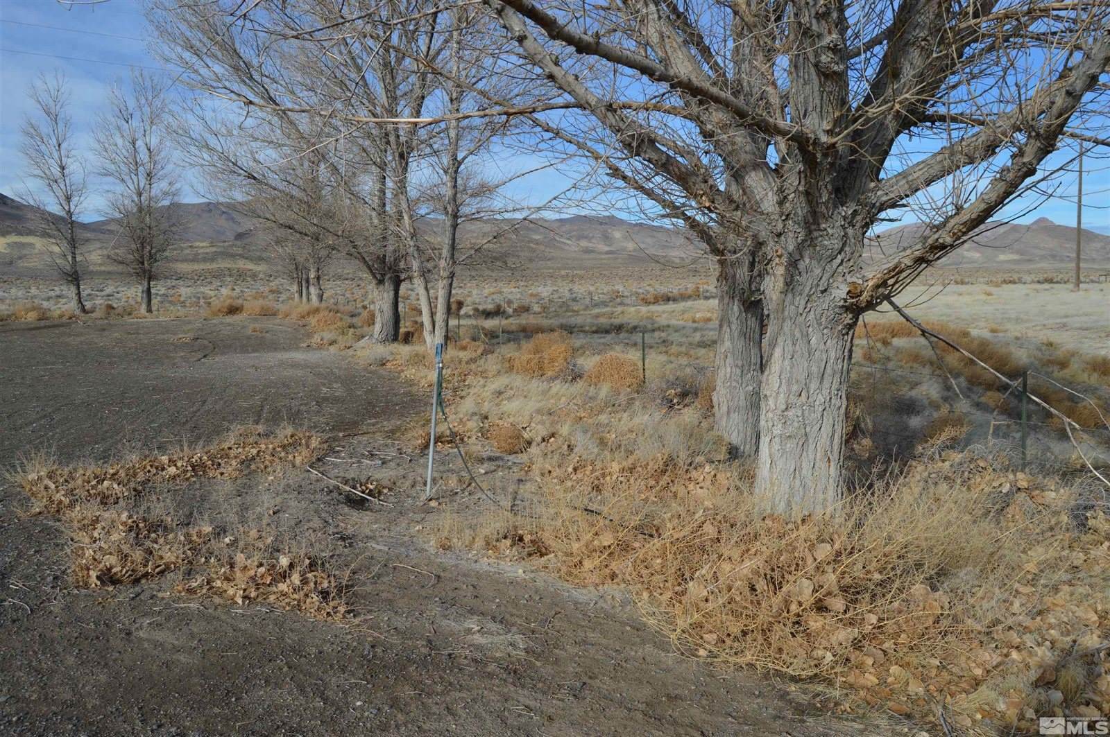 61500 State Highway 447, Empire, NV 89510