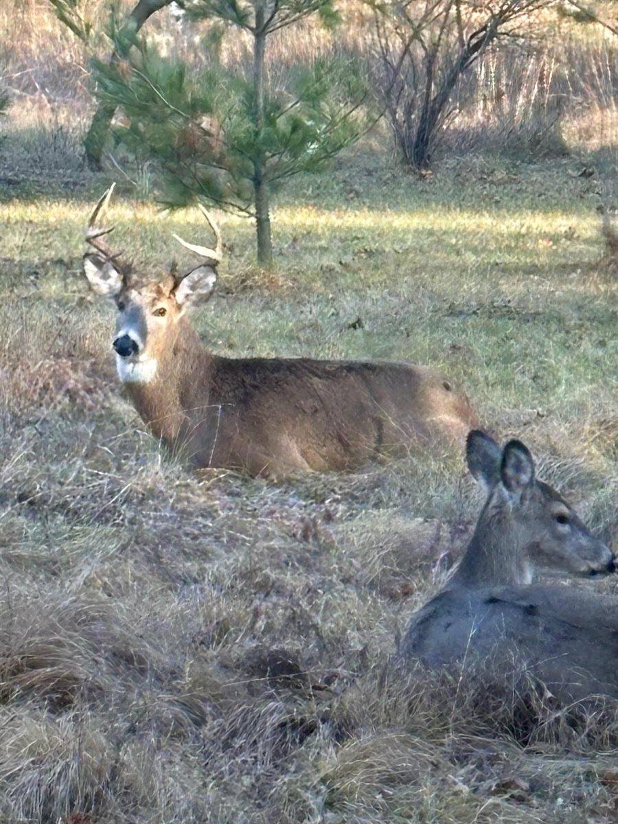 996 Inverness Court, Nekoosa, WI 54457