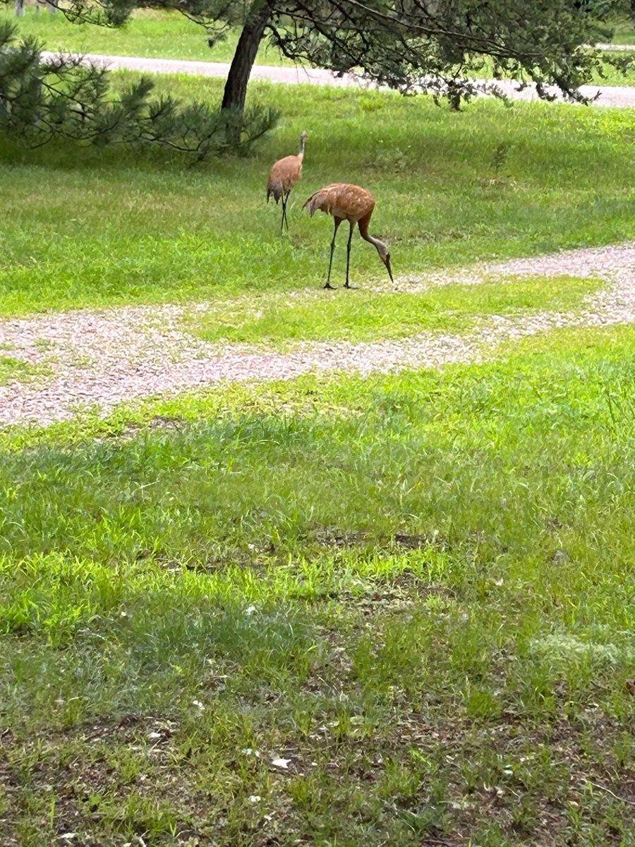 996 Inverness Court, Nekoosa, WI 54457