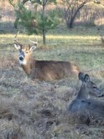 996 Inverness Court, Nekoosa, WI 54457