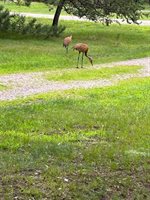 996 Inverness Court, Nekoosa, WI 54457