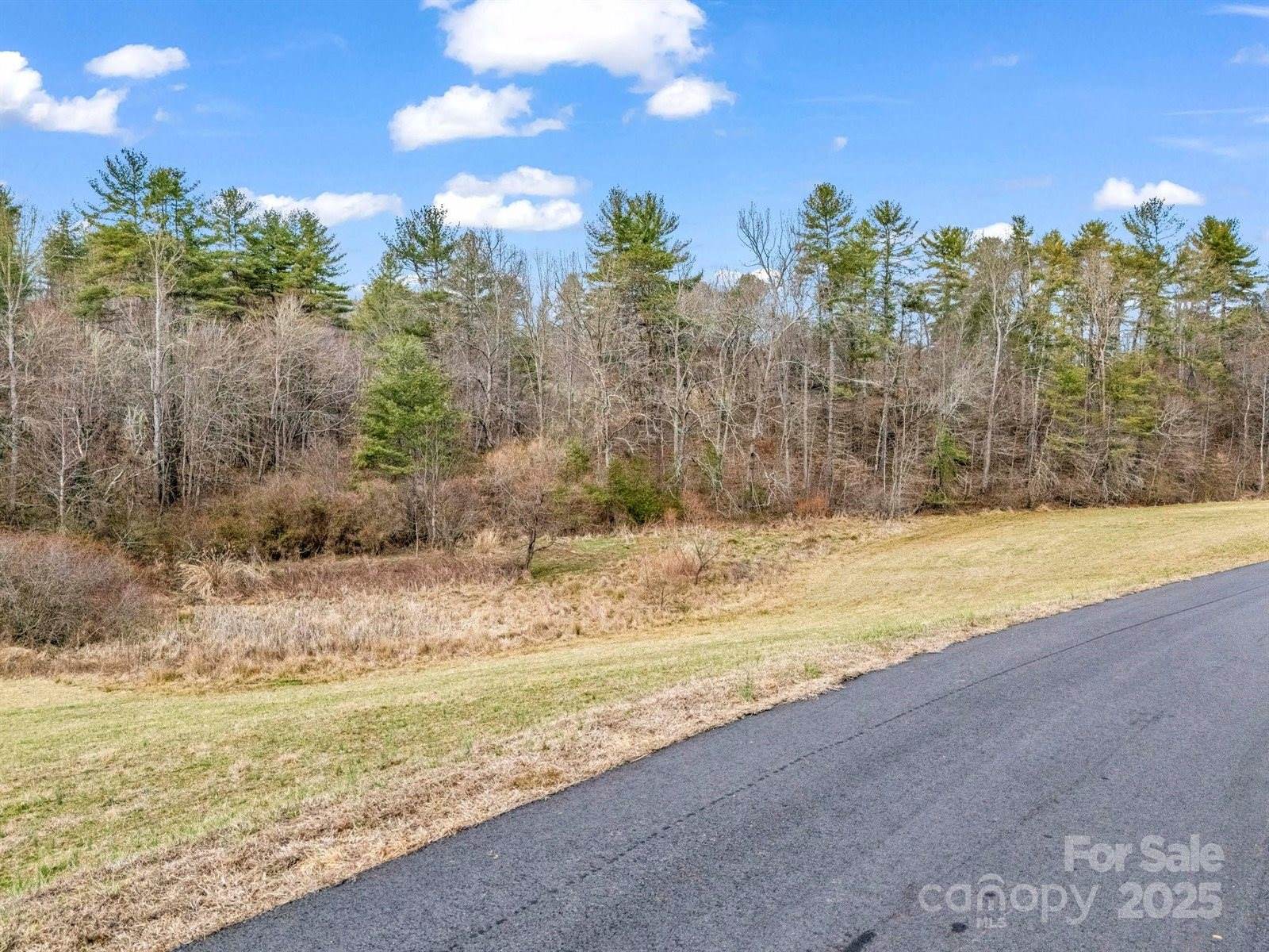 9999 Gabriels Creek Road, Mars Hill, NC 28754