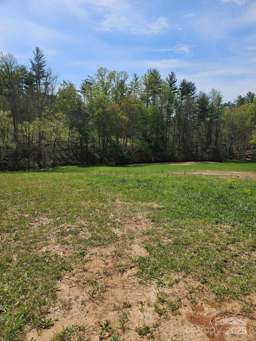 9999 Gabriels Creek Road, Mars Hill, NC 28754