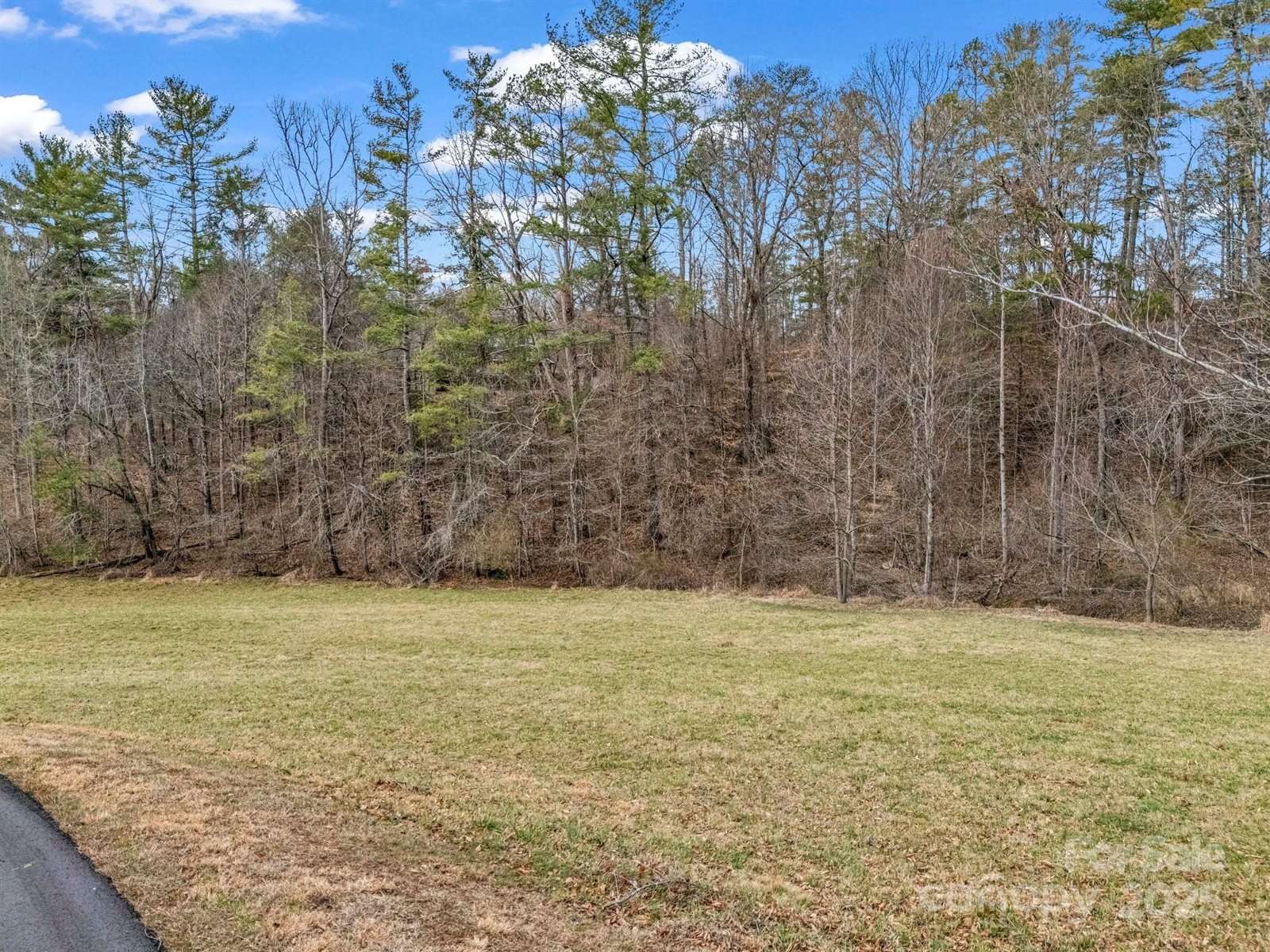 9999 Gabriels Creek Road, Mars Hill, NC 28754