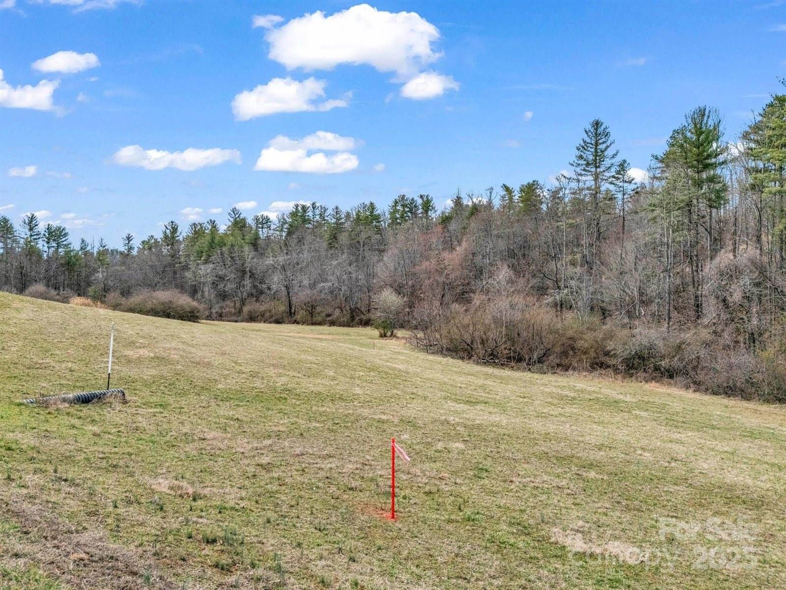 9999 Gabriels Creek Road, Mars Hill, NC 28754