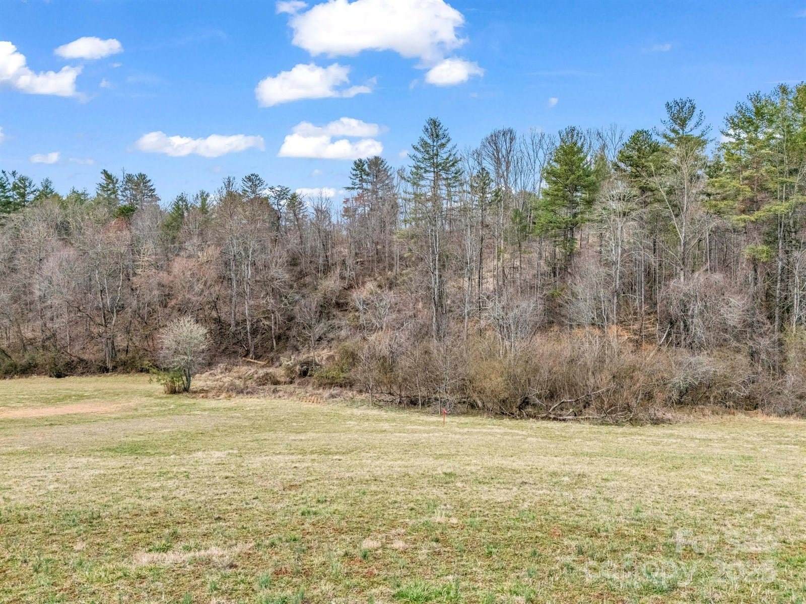 9999 Gabriels Creek Road, Mars Hill, NC 28754