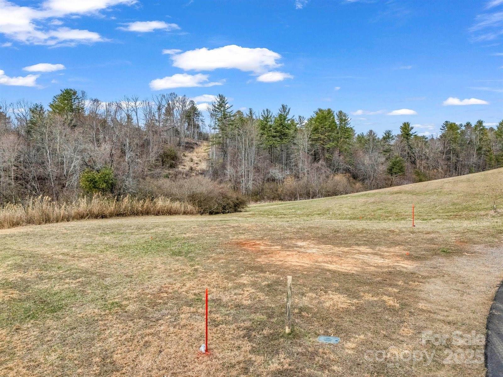 9999 Gabriels Creek Road, Mars Hill, NC 28754