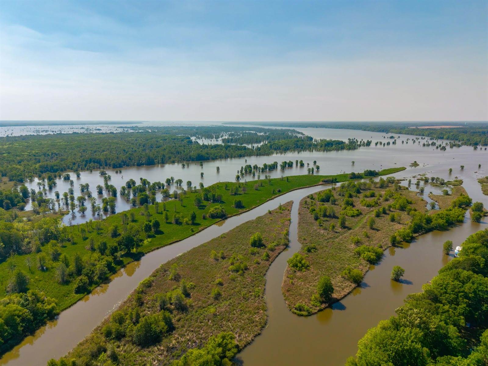 141 Stoudenmire Drive, Cameron, SC 29030