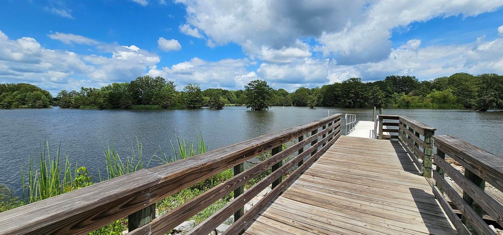 141 Stoudenmire Drive, Cameron, SC 29030