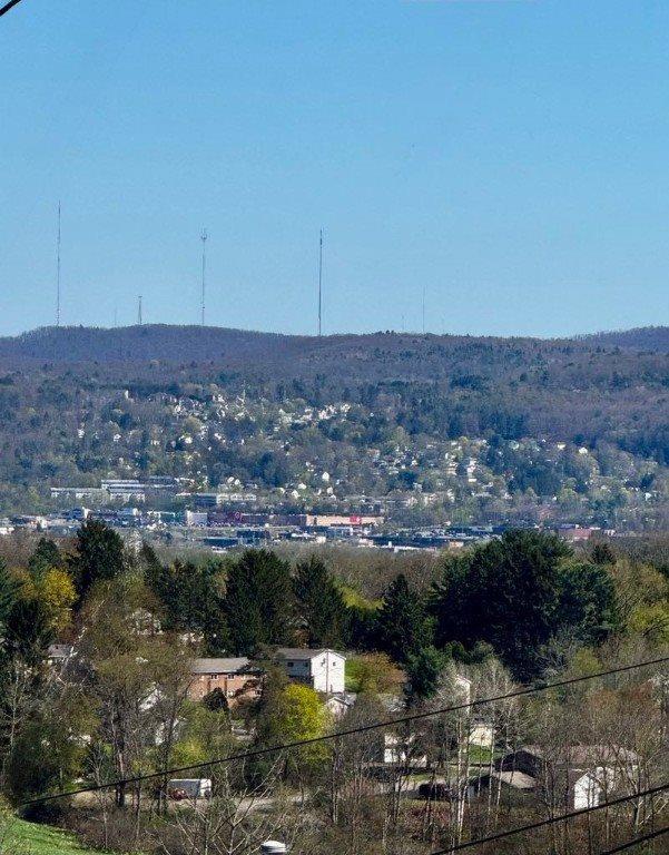 949 North Rogers Avenue, Endicott, NY 13760