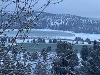 8314 NW Newell Lane, Prineville, OR 97754