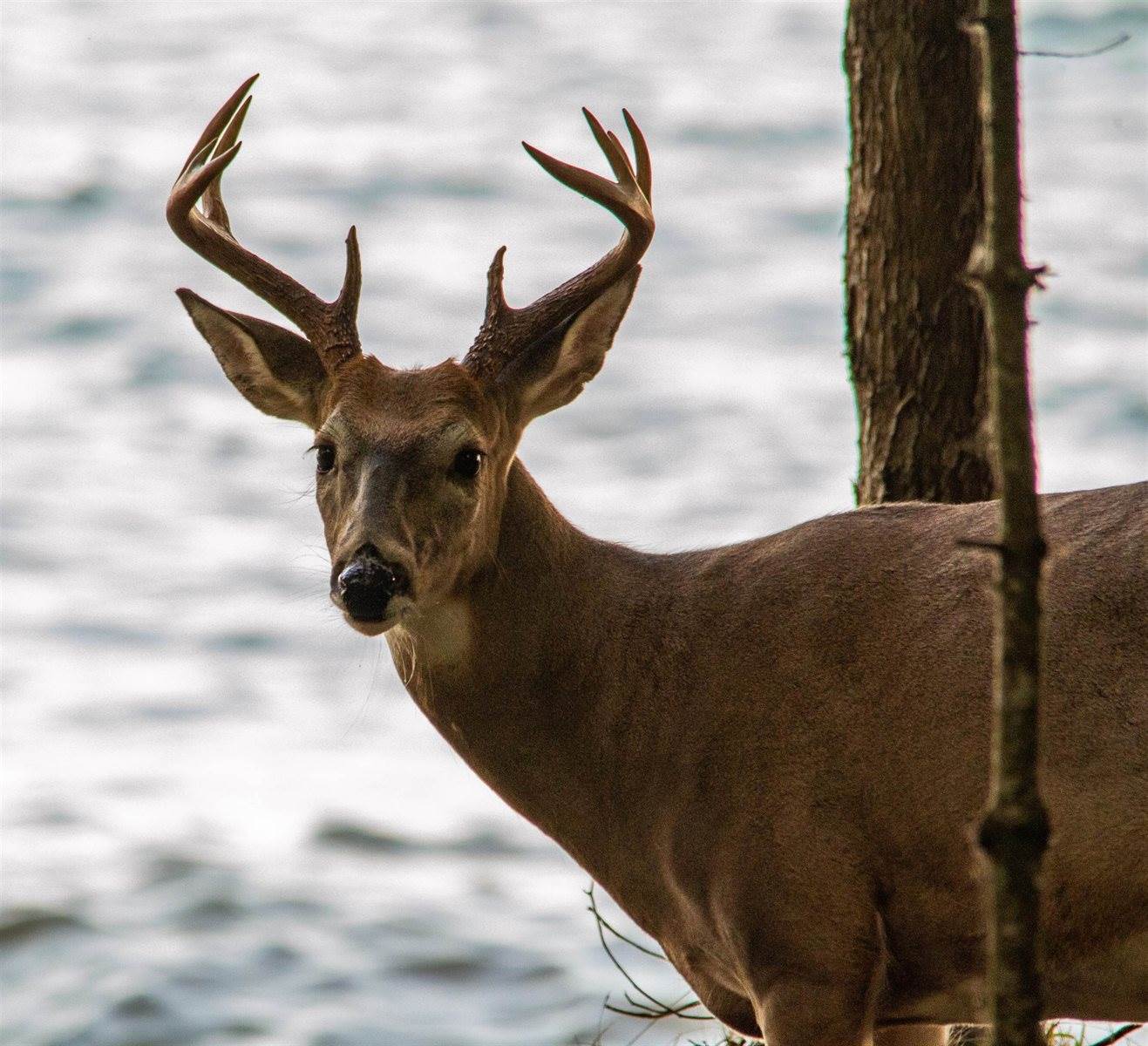 2072 South Lake Michigan Drive, Sturgeon Bay, WI 54235