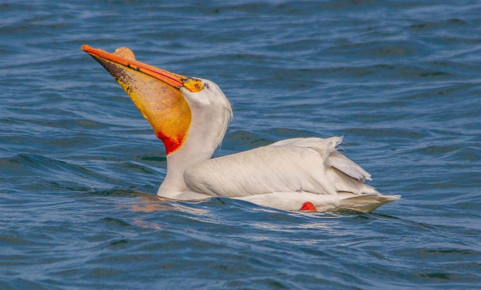 2072 South Lake Michigan Drive, Sturgeon Bay, WI 54235