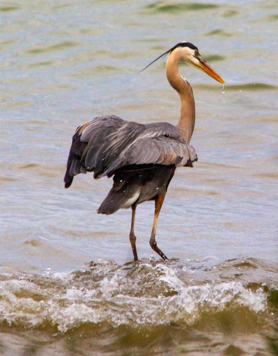 2072 South Lake Michigan Drive, Sturgeon Bay, WI 54235