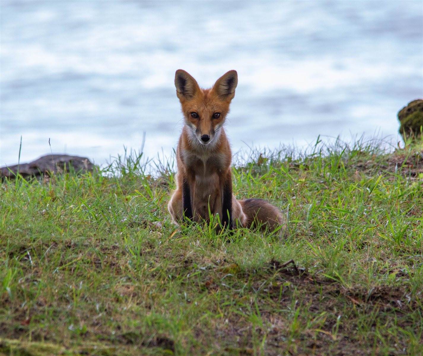 2072 South Lake Michigan Drive, Sturgeon Bay, WI 54235