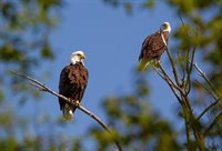 2072 South Lake Michigan Drive, Sturgeon Bay, WI 54235