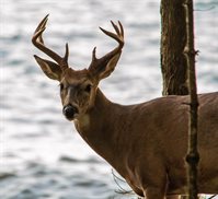 2072 South Lake Michigan Drive, Sturgeon Bay, WI 54235