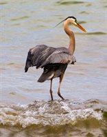 2072 South Lake Michigan Drive, Sturgeon Bay, WI 54235