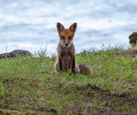 2072 South Lake Michigan Drive, Sturgeon Bay, WI 54235