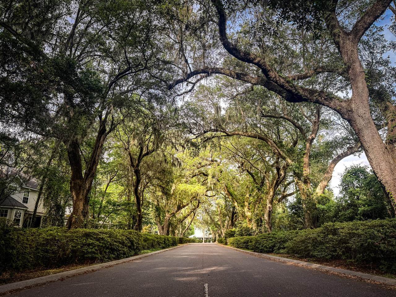 675 Fair Spring Drive, Charleston, SC 29414