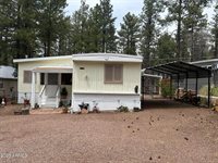 444 West Summer Haven Lane, Lakeside, AZ 85929
