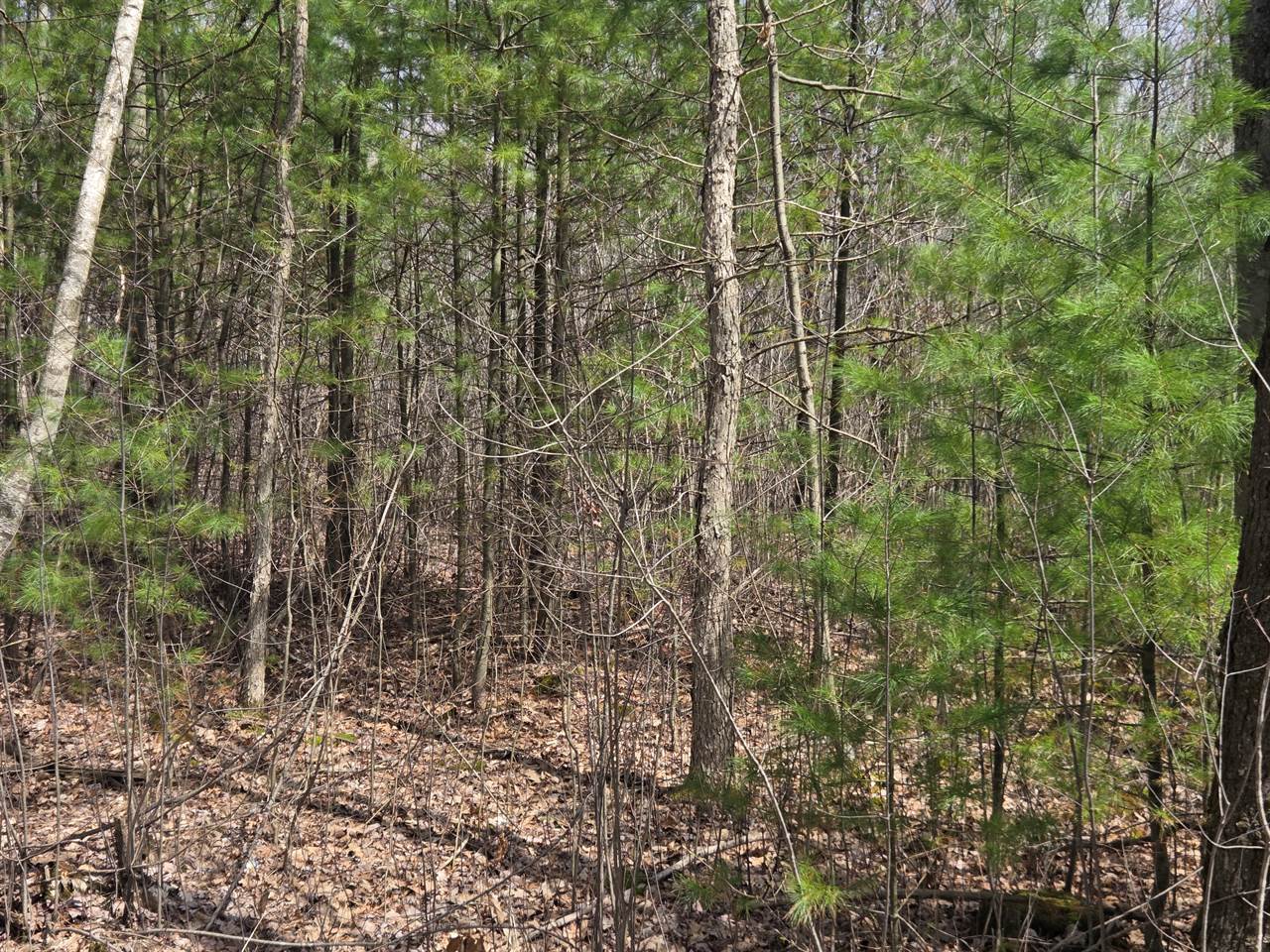 0 Deer Lane, Stevens Point, WI 54481