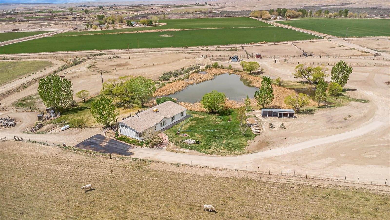 1940 10 Road, Mack, CO 81525