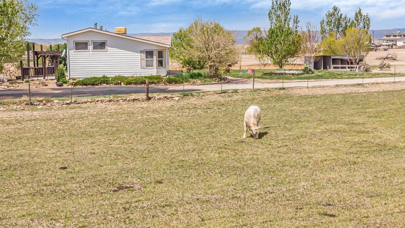 1940 10 Road, Mack, CO 81525