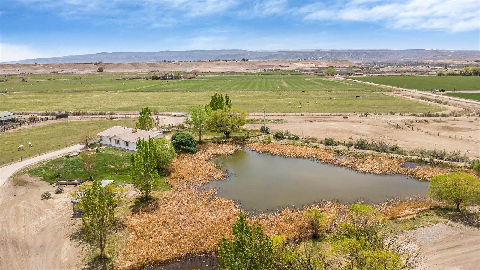 1940 10 Road, Mack, CO 81525