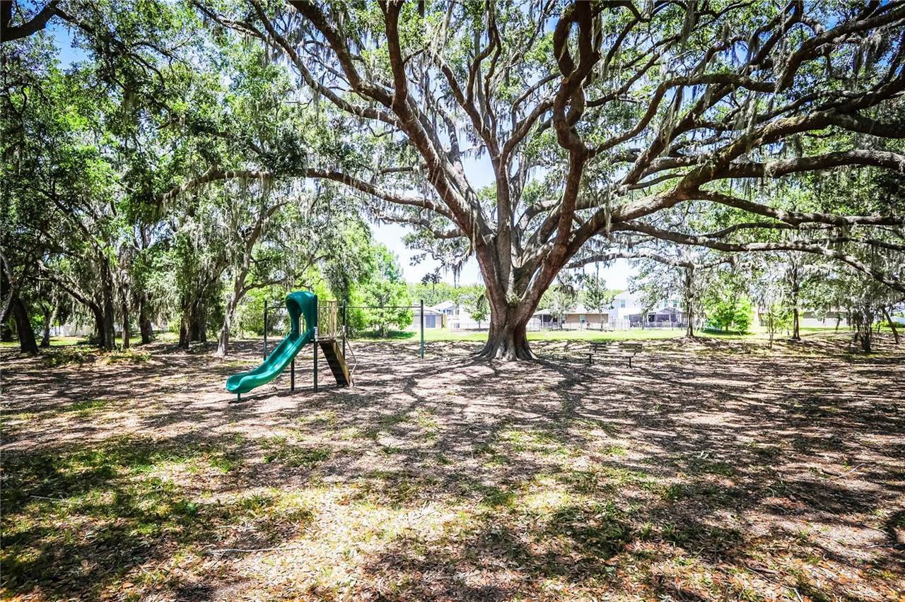 4793 Grassy Knoll Drive, Tavares, FL 32778