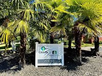 1407 Evergreen Park Drive SW, Olympia, WA 98502