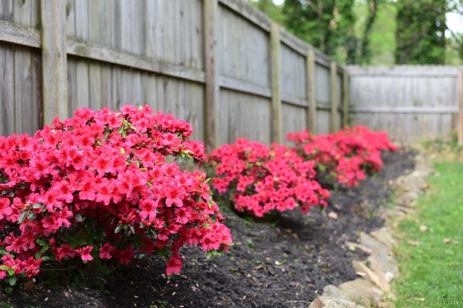 809 Westview Drive, Lynchburg, VA 24502