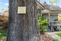 1416 N 13th St, Boise, ID 83702