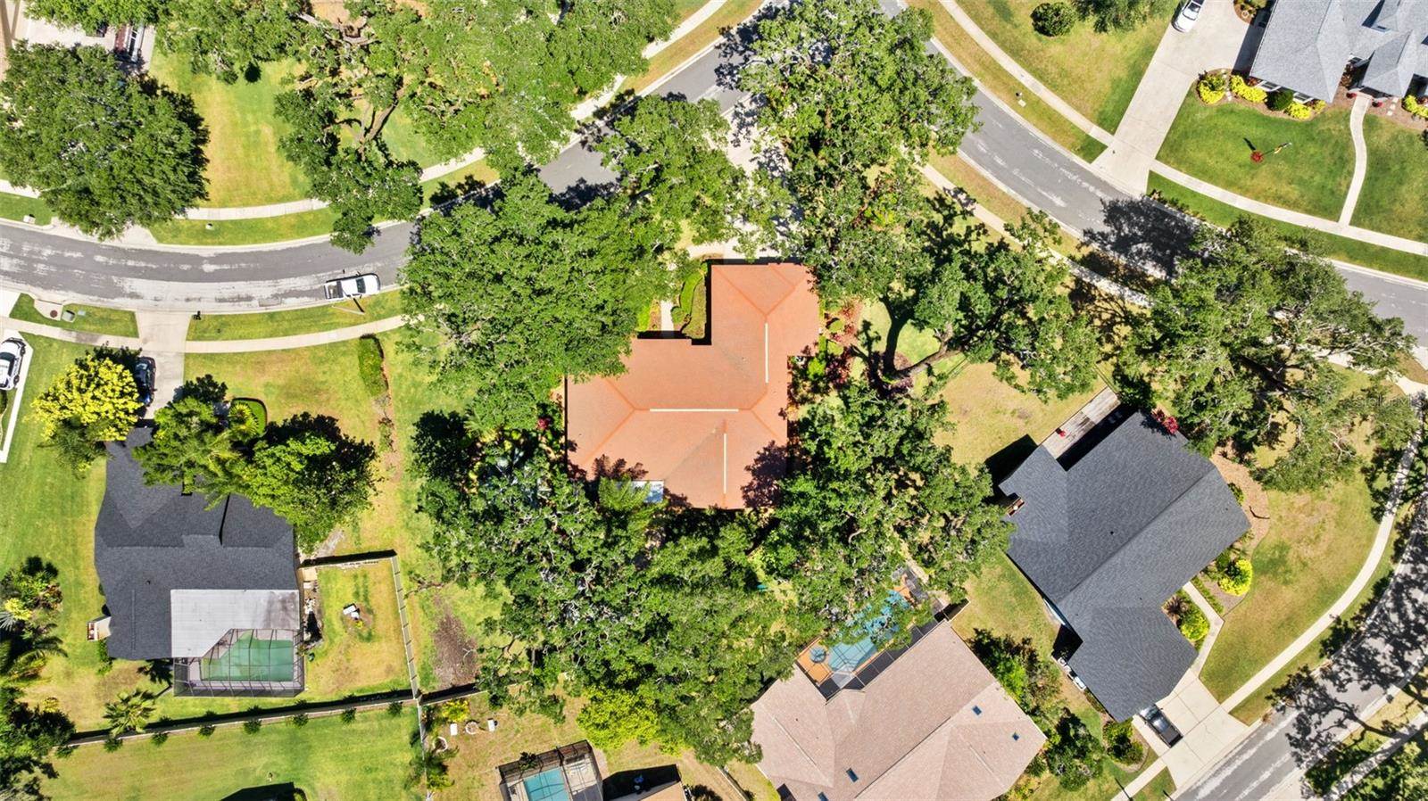 1102 Hunt Club Lane, Valrico, FL 33594